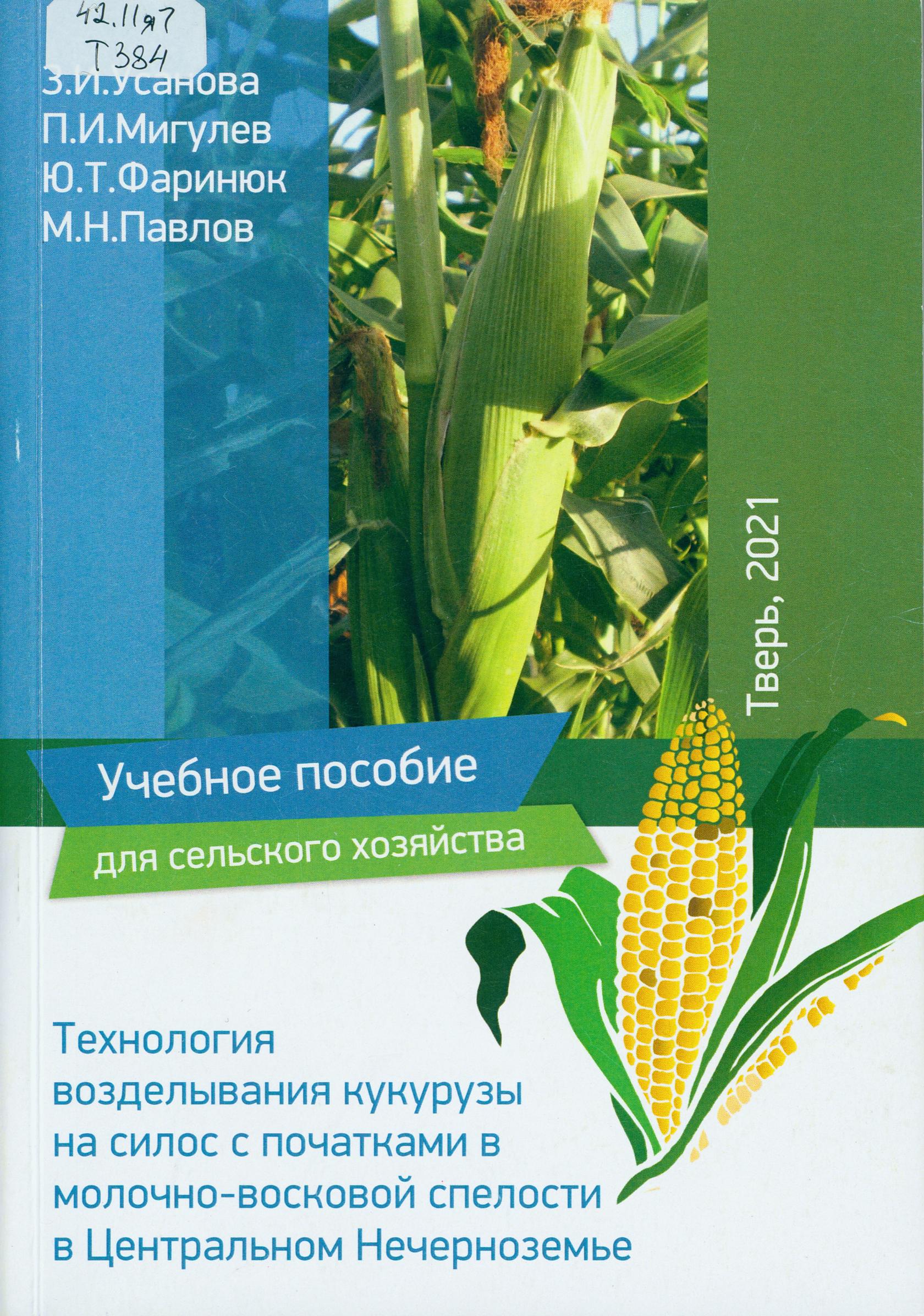 Технология возделывания кукурузы на силос